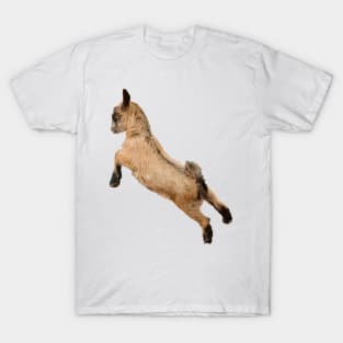 Bouncing Baby Goat 7 T-Shirt